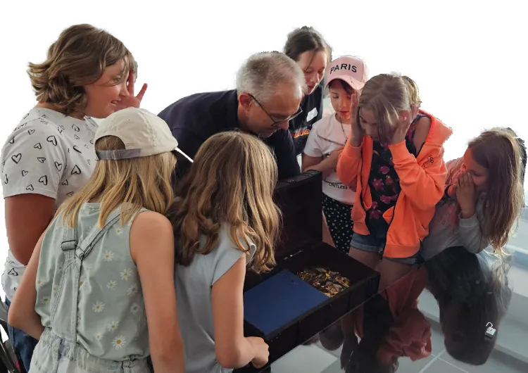 Sieben Kinder, die staunend beim Öffnen einer Schatztruhe zusehen.